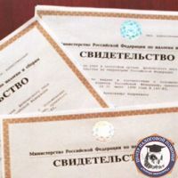 С 1 января жители Крыма и Севастополя начали получать ИНН по российским правилам