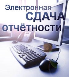 Для формирования ресурса БФО отчетность представляется в ФНС России только в электронном виде